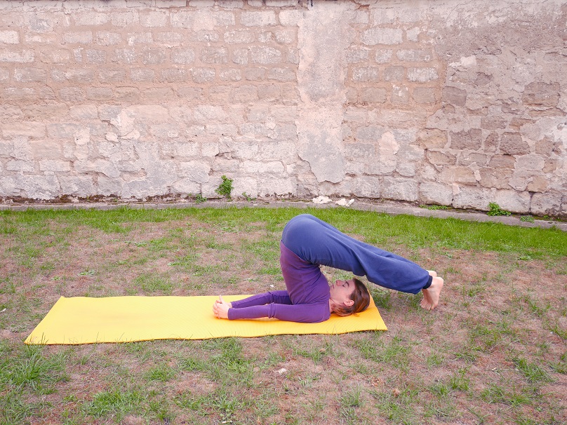 La charrue (halasana)